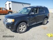 ✅ 2008 Ford Escape Hybrid • VIN: 1FMCU49H48KB08067 • Lot: 59622355. Listed on Copart with 213,363 mi. Free auction sales archive from the USA and detailed vehicle history report at DreamBid. Image 1.