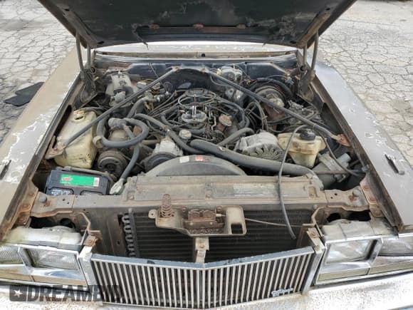 ✅ 1976 Cadillac Seville • VIN: 6S69R6Q491846 • Lot: 65389324. Wystawiony na Copart z przebiegiem 99 290 mil. Bezpłatny archiwum sprzedaży aukcyjnych z USA i szczegółowy raport historii pojazdu na DreamBid. Zdjęcie 11.