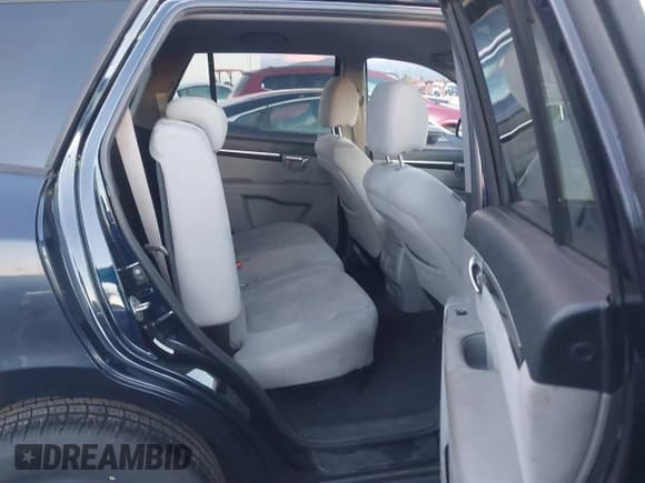 ✅ 2009 Hyundai Santa Fe GLS • VIN: 5NMSG13D69H299953 • Лот: 43642218. Опубликован ранее на IAAI с пробегом 185 505 миль. Бесплатный доступ к архиву аукционных продаж из США и подробный отчёт об истории автомобиля на DreamBid. Изображение 8.