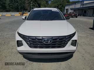 2023 Hyundai Tucson SEL с VIN 5NMJF3AE7PH187083, выставлен на аукционе Copart как лот 81181895 с пробегом 54 006 миль миль и Списание • Salvage title. История ставок и продаж доступна на DreamBid. Изображение 5.