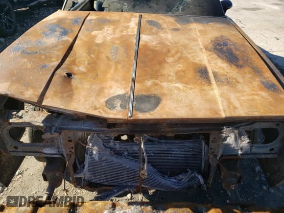 ✅ 1981 Oldsmobile Cutlass • VIN: 2G3AR47A3B2405223 • Lot: 85947814. Wystawiony na Copart z przebiegiem Nie podano. Bezpłatny archiwum sprzedaży aukcyjnych z USA i szczegółowy raport historii pojazdu na DreamBid. Zdjęcie 11.