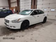 ✅ 2013 Nissan Maxima S • VIN: 1N4AA5AP3DC827012 • Lot: 43673599. Wystawiony na IAAI z przebiegiem 162 667 mil. Bezpłatny archiwum sprzedaży aukcyjnych z USA i szczegółowy raport historii pojazdu na DreamBid. Zdjęcie 2.