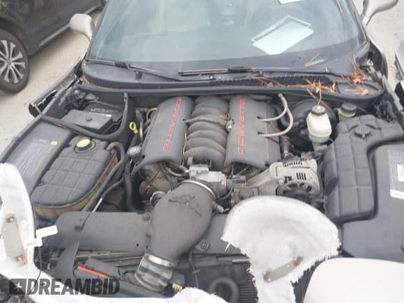 ✅ 1998 Chevrolet Corvette • VIN: 1G1YY32G5W5124387 • Лот: 43499934. Опубликован ранее на IAAI с пробегом 90 647 миль. Бесплатный доступ к архиву аукционных продаж из США и подробный отчёт об истории автомобиля на DreamBid. Изображение 10.