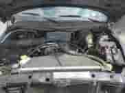 1999 Dodge 1500 z VIN 3B7HF13Z3XG156105, wystawiony jako Copart lot #71061384 z przebiegiem 267 990 mil mil oraz Szkoda całkowita • Salvage title. Historia ofert i sprzedaży dostępna na DreamBid. Obrazek 11.