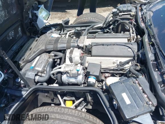 ✅ 1992 Chevrolet Corvette • VIN: 1G1YY23PXN5119774 • Лот: 42804102. Опубликован ранее на IAAI с пробегом 159 589 миль. Бесплатный доступ к архиву аукционных продаж из США и подробный отчёт об истории автомобиля на DreamBid. Изображение 10.