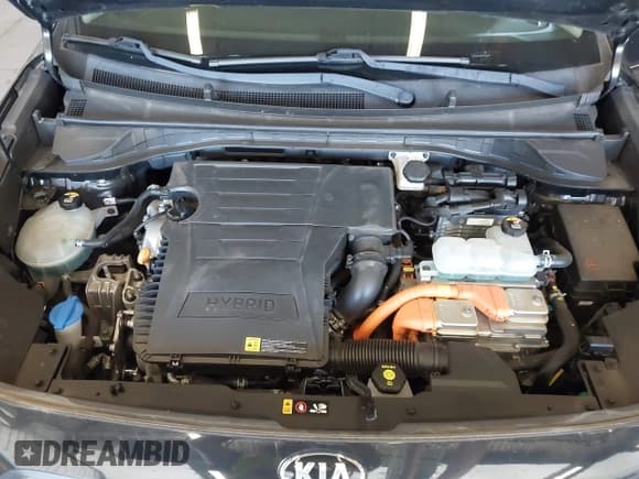 ✅ 2019 Kia Niro LX • VIN: KNDCB3LC6K5243297 • Лот: 42609946. Опубликован ранее на IAAI с пробегом 54 091 миль. Бесплатный доступ к архиву аукционных продаж из США и подробный отчёт об истории автомобиля на DreamBid. Изображение 10.