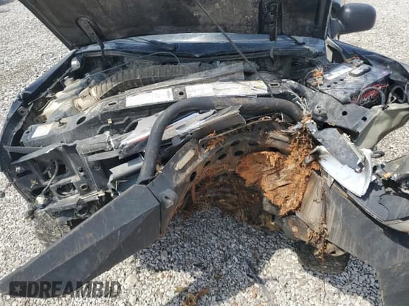 ✅ 1998 Ford Ranger • VIN: 1FTZR11X9WTA38171 • Lot: 65576715. Listed on Copart with 117,155 mi. Free auction sales archive from the USA and detailed vehicle history report at DreamBid. Image 11.