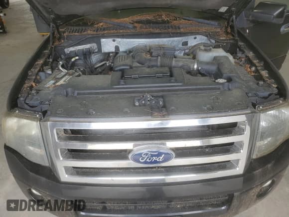 ✅ 2011 Ford Expedition Limited • VIN: 1FMJU1K58BEF18267 • Лот: 68366255. Опубликован ранее на Copart с пробегом 295 985 миль. Бесплатный доступ к архиву аукционных продаж из США и подробный отчёт об истории автомобиля на DreamBid. Изображение 12.
