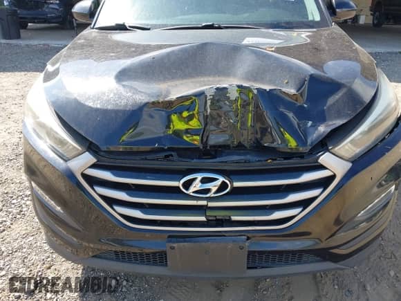 2017 Hyundai Tucson SE с VIN KM8J3CA44HU290757, выставлен на аукционе IAAI как лот 43267069 с пробегом 120 625 миль миль и . История ставок и продаж доступна на DreamBid. Изображение 6.