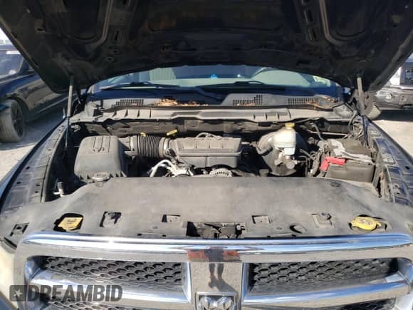 2009 Dodge 1500 SLT с VIN 1D3HV18P89S803711, выставлен на аукционе Copart как лот 75471014 с пробегом 170 430 миль миль и Списание • Salvage title. История ставок и продаж доступна на DreamBid. Изображение 11.