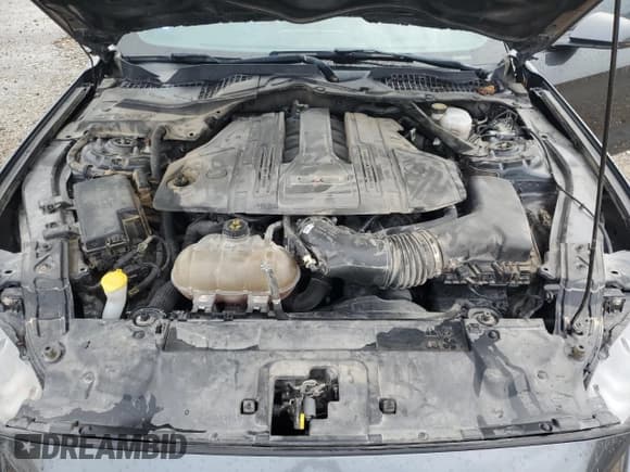 ✅ 2019 Ford Mustang GT Premium • VIN: 1FA6P8CF0K5192455 • Lot: 85334845. Wystawiony na Copart z przebiegiem 51 935 mil. Bezpłatny archiwum sprzedaży aukcyjnych z USA i szczegółowy raport historii pojazdu na DreamBid. Zdjęcie 11.