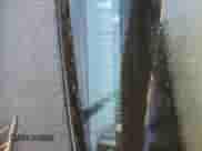 2005 Chevrolet Impala LS z VIN 2G1WH52K659215046, wystawiony jako Copart lot #82394295 z przebiegiem 125 346 mil mil oraz Szkoda całkowita • Salvage title. Historia ofert i sprzedaży dostępna na DreamBid. Obrazek 12.