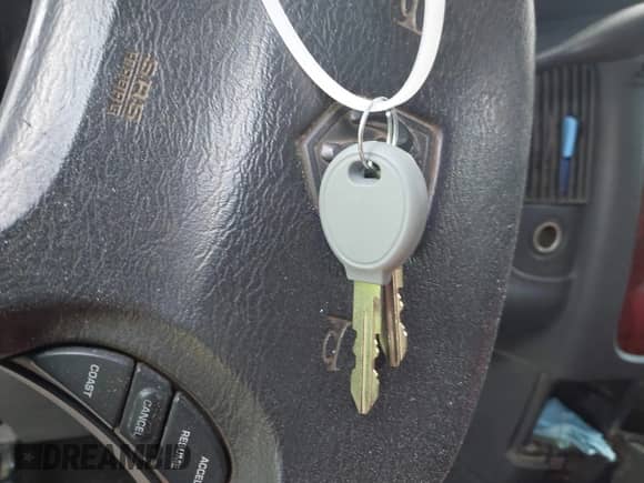 2003 Dodge 1500 ST z VIN 1D7HA18N83S214724, wystawiony jako IAAI lot #42566134 z przebiegiem 280 750 mil mil oraz . Historia ofert i sprzedaży dostępna na DreamBid. Obrazek 11.