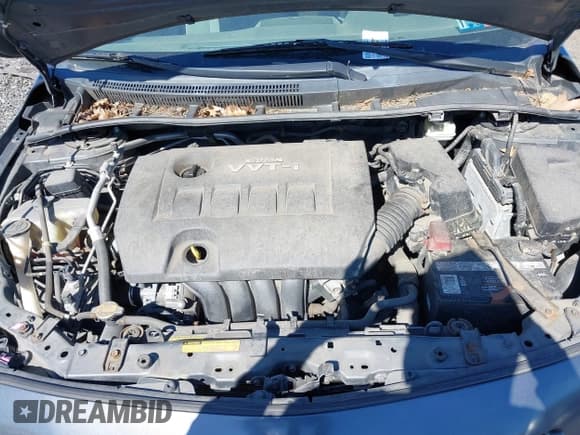 ✅ 2010 Toyota Corolla • VIN: 2T1BU4EE7AC511446 • Lot: 42295766. Listed on IAAI with 115,407 mi. Free auction sales archive from the USA and detailed vehicle history report at DreamBid. Image 10.