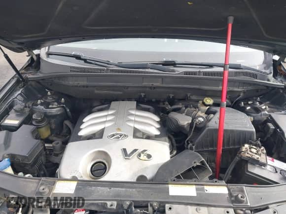 2007 Hyundai Veracruz GLS с VIN KM8NU13C87U015169, выставлен на аукционе IAAI как лот 41470385 с пробегом 253 176 миль миль и . История ставок и продаж доступна на DreamBid. Изображение 10.