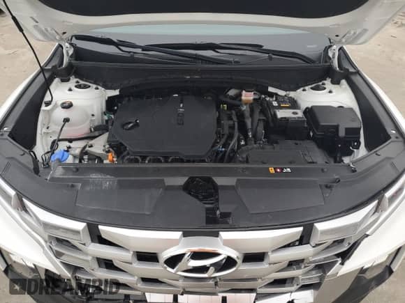 2023 Hyundai Santa Cruz SEL с VIN 5NTJCDAE8PH071054, выставлен на аукционе Copart как лот 44223145 с пробегом 9 609 миль миль и Списание • Salvage title. История ставок и продаж доступна на DreamBid. Изображение 11.