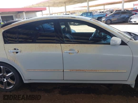 ✅ 2004 Nissan Maxima SL • VIN: 1N4BA41E24C869006 • Lot: 42259558. Listed on IAAI with 97,383 mi. Free auction sales archive from the USA and detailed vehicle history report at DreamBid. Image 13.