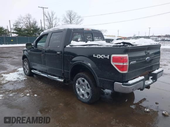 ✅ 2009 Ford F-150 XL • VIN: 1FTPW14V99FB36002 • Lot: 43814812. Listed on IAAI with Not provided. Free auction sales archive from the USA and detailed vehicle history report at DreamBid. Image 3.