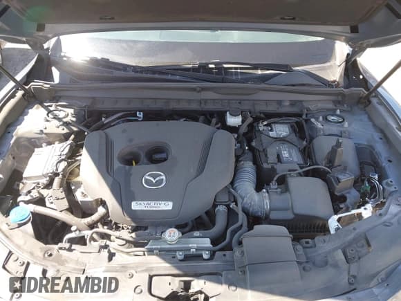 ✅ 2023 Mazda CX-50 Meridian Edition • VIN: 7MMVABXY1PN121398 • Lot: 42640548. Wystawiony na IAAI z przebiegiem 31 649 mil. Bezpłatny archiwum sprzedaży aukcyjnych z USA i szczegółowy raport historii pojazdu na DreamBid. Zdjęcie 10.