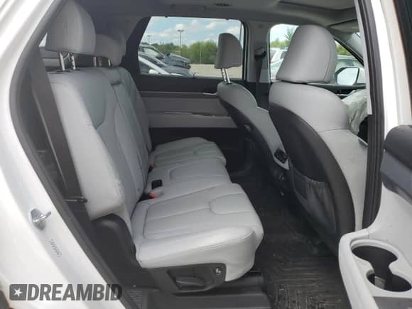 2022 Hyundai Palisade SEL с VIN KM8R4DHE3NU431866, выставлен на аукционе Copart как лот 67562104 с пробегом 28 370 миль миль и Списание • Salvage title. История ставок и продаж доступна на DreamBid. Изображение 11.