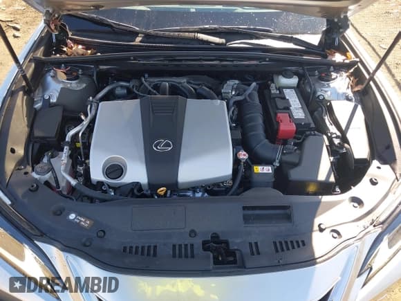 ✅ 2025 Lexus ES 350 • VIN: 58ADZ1B1XSU185483 • Lot: 41632500. Listed on IAAI with 4,462 mi. Free auction sales archive from the USA and detailed vehicle history report at DreamBid. Image 10.