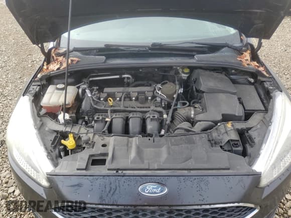 ✅ 2015 Ford Focus S • VIN: 1FADP3E24FL349183 • Lot: 91809575. Wystawiony na Copart z przebiegiem 125 318 mil. Bezpłatny archiwum sprzedaży aukcyjnych z USA i szczegółowy raport historii pojazdu na DreamBid. Zdjęcie 11.