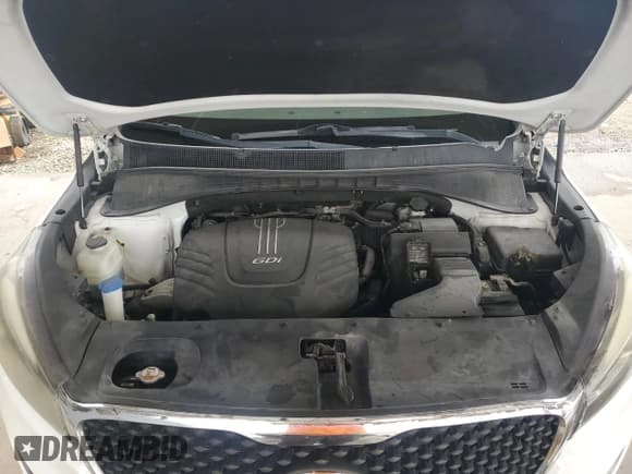 ✅ 2016 Kia Sorento EX • VIN: 5XYPHDA50GG005566 • Lot: 69760815. Wystawiony na Copart z przebiegiem 145 802 mil. Bezpłatny archiwum sprzedaży aukcyjnych z USA i szczegółowy raport historii pojazdu na DreamBid. Zdjęcie 12.