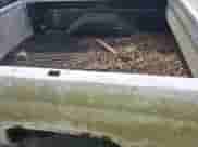 2001 Dodge 1500 with VIN 1B7HC16ZX1S179093, listed as a IAAI auction lot 42422009 with Not provided miles and . Bid and sale history available at DreamBid. Image 6.