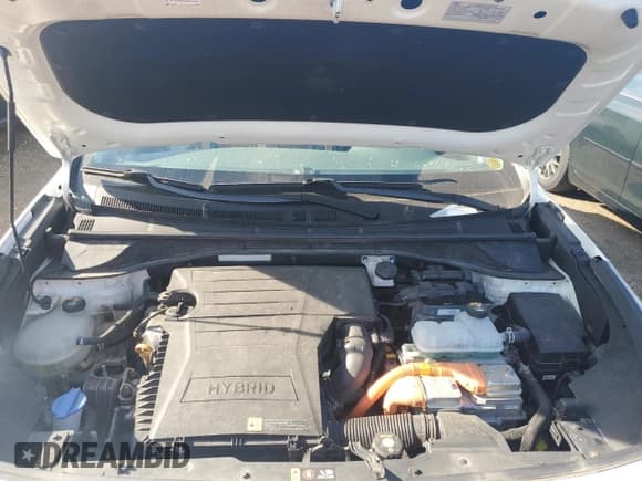 ✅ 2019 Kia Niro LX • VIN: KNDCB3LC7K5350536 • Lot: 89843405. Wystawiony na Copart z przebiegiem 84 670 mil. Bezpłatny archiwum sprzedaży aukcyjnych z USA i szczegółowy raport historii pojazdu na DreamBid. Zdjęcie 11.