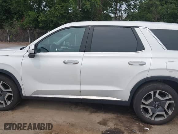 2024 Hyundai Palisade SEL с VIN KM8R4DGE1RU781553, выставлен на аукционе IAAI как лот 42905054 с пробегом 23 177 миль миль и . История ставок и продаж доступна на DreamBid. Изображение 14.