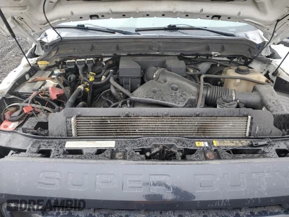 ✅ 2013 Ford F-250 XL • VIN: 1FTBF2B60DEA76430 • Lot: 59548215. Listed on Copart with 305,391 mi. Free auction sales archive from the USA and detailed vehicle history report at DreamBid. Image 11.