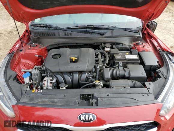 ✅ 2020 Kia Forte FE • VIN: 3KPF24AD8LE252233 • Lot: 44316085. Wystawiony na Copart z przebiegiem 71 063 mil. Bezpłatny archiwum sprzedaży aukcyjnych z USA i szczegółowy raport historii pojazdu na DreamBid. Zdjęcie 13.