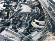 ✅ 2000 Chevrolet Impala • VIN: 2G1WF55E6Y9129476 • Lot: 42546460. Wystawiony na IAAI z przebiegiem 202 943 mil. Bezpłatny archiwum sprzedaży aukcyjnych z USA i szczegółowy raport historii pojazdu na DreamBid. Zdjęcie 19.