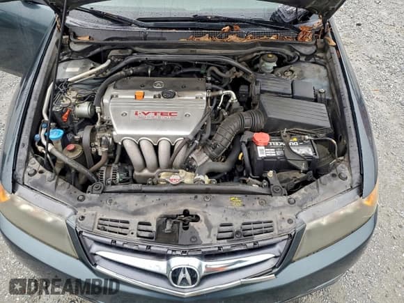 ✅ 2006 Acura TSX • VIN: JH4CL96896C025247 • Lot: 93924515. Listed on Copart with 152,518 mi. Free auction sales archive from the USA and detailed vehicle history report at DreamBid. Image 11.