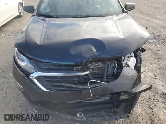 2020 Chevrolet Equinox LS z VIN 2GNAXHEV6L6217042, wystawiony jako Copart lot #82619635 z przebiegiem 95 356 mil mil oraz Czysty tytuł • Clean title. Historia ofert i sprzedaży dostępna na DreamBid. Obrazek 12.