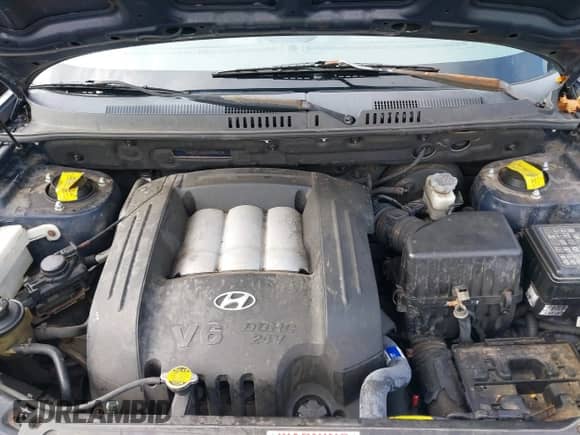 2005 Hyundai Santa Fe GLS с VIN KM8SC73D05U925123, выставлен на аукционе IAAI как лот 41101408 с пробегом 172 169 миль миль и . История ставок и продаж доступна на DreamBid. Изображение 10.