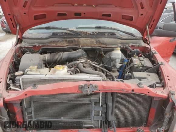 2003 Dodge 1500 ST с VIN 1D7HU18Z13S198067, выставлен на аукционе Copart как лот 50089065 с пробегом 238 331 миль миль и Списание • Salvage title. История ставок и продаж доступна на DreamBid. Изображение 11.