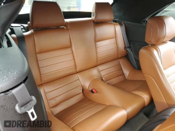 2014 Ford Mustang V6 с VIN 1ZVBP8EM1E5308185, выставлен на аукционе Copart как лот 63237495 с пробегом 96 600 миль миль и Списание • Salvage title. История ставок и продаж доступна на DreamBid. Изображение 10.