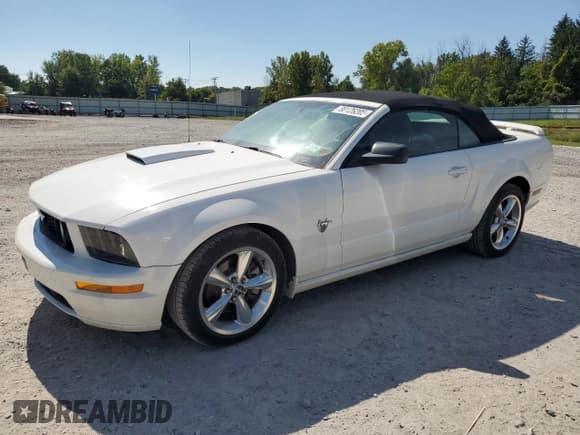 ✅ 2009 Ford Mustang GT • VIN: 1ZVHT85HX95109148 • Lot: 80126205. Wystawiony na Copart z przebiegiem 32 473 mil. Bezpłatny archiwum sprzedaży aukcyjnych z USA i szczegółowy raport historii pojazdu na DreamBid. Zdjęcie 1.