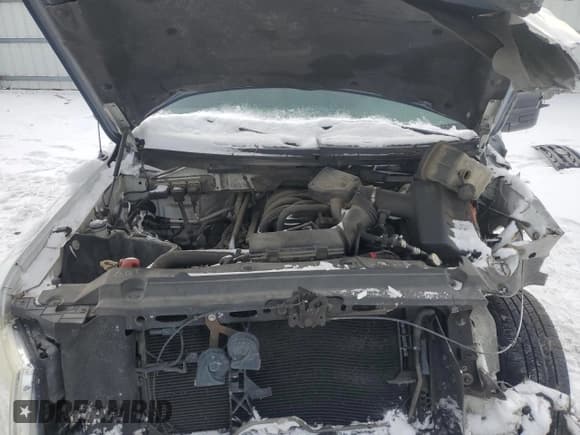 ✅ 2009 Ford F-150 XL • VIN: 1FTRF12839KA68485 • Лот: 44805525. Опубликован ранее на Copart с пробегом 213 318 миль. Бесплатный доступ к архиву аукционных продаж из США и подробный отчёт об истории автомобиля на DreamBid. Изображение 11.