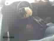 2013 Dodge Challenger SXT with VIN 2C3CDYAG1DH581610, listed as a Copart auction lot 89675765 with 186,456 mi miles and Salvage title. Bid and sale history available at DreamBid. Image 8.