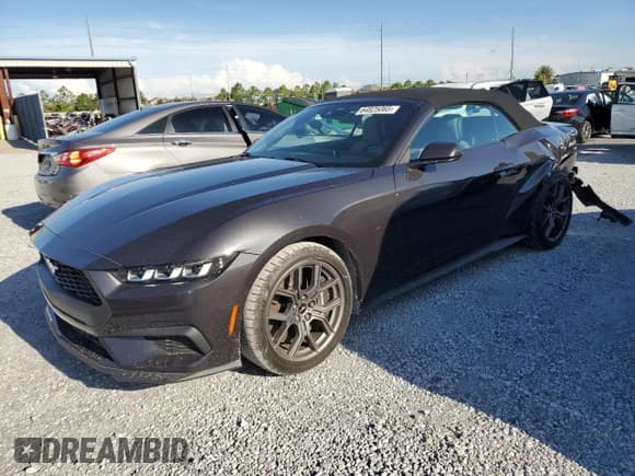 ✅ 2024 Ford Mustang EcoBoost • VIN: 1FAGP8UH7R5119176 • Лот: 64825065. Опубликован ранее на Copart с пробегом 5 716 миль. Бесплатный доступ к архиву аукционных продаж из США и подробный отчёт об истории автомобиля на DreamBid. Изображение 1.