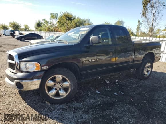 ✅ 2005 Dodge 1500 SLT • VIN: 1D7HA18D55J559211 • Лот: 73215194. Опубликован ранее на Copart с пробегом Не указан. Бесплатный доступ к архиву аукционных продаж из США и подробный отчёт об истории автомобиля на DreamBid. Изображение 1.