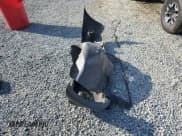 ✅ 2008 Toyota Tacoma • VIN: 5TEPX42N78Z563763 • Lot: 81248025. Wystawiony na Copart z przebiegiem 203 991 mil. Bezpłatny archiwum sprzedaży aukcyjnych z USA i szczegółowy raport historii pojazdu na DreamBid. Zdjęcie 12.