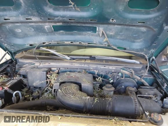 ✅ 1998 Ford Expedition XLT • VIN: 1FMPU18L6WLC21287 • Lot: 43314429. Wystawiony na IAAI z przebiegiem 260 324 mil. Bezpłatny archiwum sprzedaży aukcyjnych z USA i szczegółowy raport historii pojazdu na DreamBid. Zdjęcie 10.