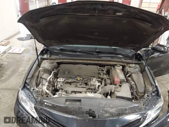 2019 Toyota Camry LE with VIN JTNB11HK0K3080138, listed as a IAAI auction lot 43236866 with 98,032 mi miles and . Bid and sale history available at DreamBid. Image 10.