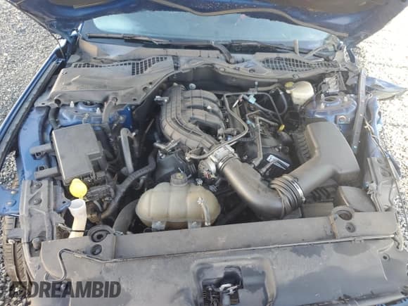 ✅ 2017 Ford Mustang V6 • VIN: 1FA6P8AM7H5342815 • Lot: 86554225. Listed on Copart with Not provided. Free auction sales archive from the USA and detailed vehicle history report at DreamBid. Image 11.