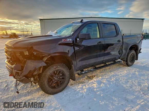 ✅ 2022 Chevrolet Silverado 1500 Custom Trail Boss • VIN: 3GCPDCEK6NG663140 • Lot: 95386155. Wystawiony na Copart z przebiegiem 156 664 mil. Bezpłatny archiwum sprzedaży aukcyjnych z USA i szczegółowy raport historii pojazdu na DreamBid. Zdjęcie 1.