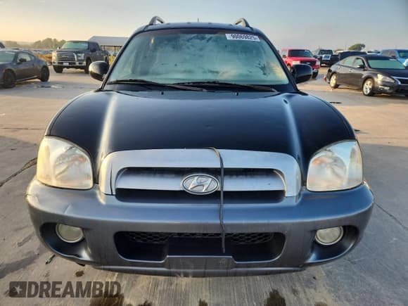 ✅ 2005 Hyundai Santa Fe GLS • VIN: KM8SC13E95U916944 • Lot: 90069825. Listed on Copart with 282,287 mi. Free auction sales archive from the USA and detailed vehicle history report at DreamBid. Image 5.