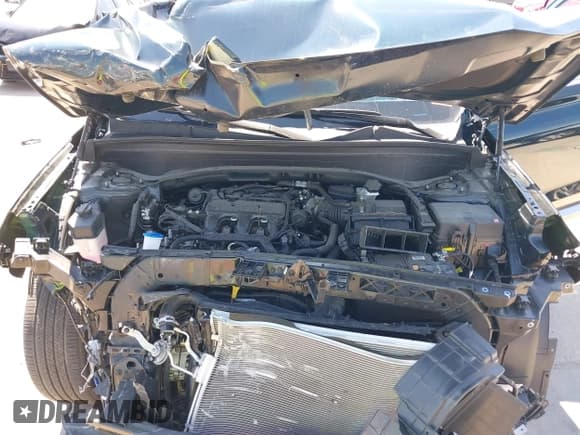 ✅ 2024 Hyundai Palisade Calligraphy • VIN: KM8R74GEXRU757629 • Lot: 43291132. Wystawiony na IAAI z przebiegiem 11 666 mil. Bezpłatny archiwum sprzedaży aukcyjnych z USA i szczegółowy raport historii pojazdu na DreamBid. Zdjęcie 10.